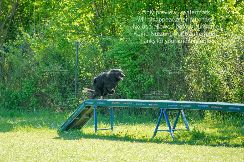 Sa_VK3_03-64 | stephaniefillaphotographie - Realisiert mit Pictrs.com