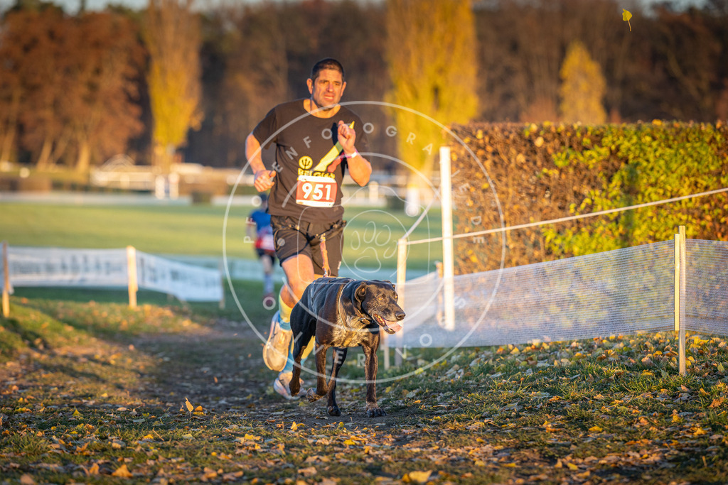 CaniXpix_DV3A5641 | Hundefotografie, Tierfotograf, Pfotenfotografie, Fotoshooting Hund, Hunde Portrait, Hundesport, Hundeportraits, Heideshooting, Hunde, Sportfotograf, Hundefotograf, Turnierhundsport, THS,  - Realisiert mit Pictrs.com