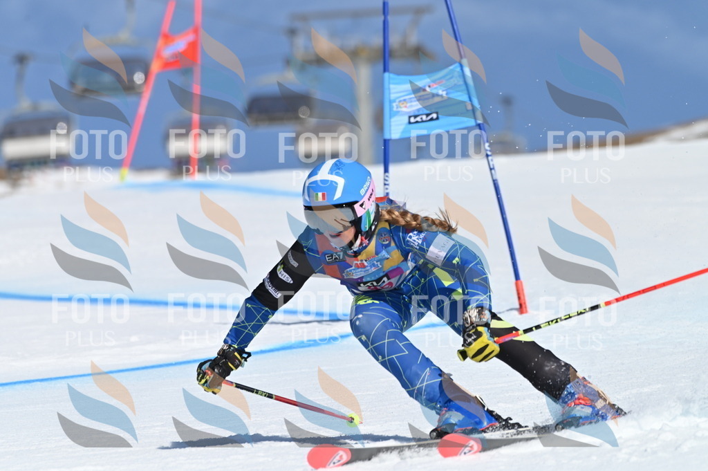 BGV_8523 | holidayphoto