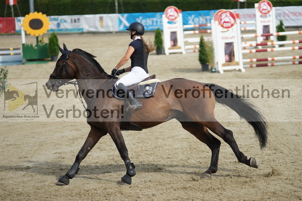 DSC05372 | equestrian-live-com