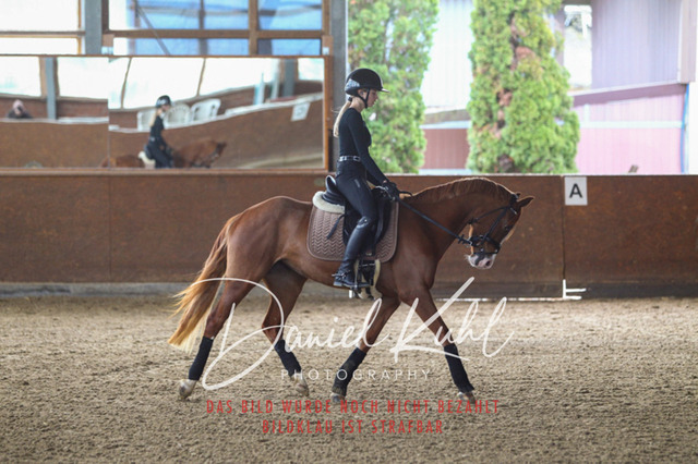 DKP42583 | Turniersportfotografie; Pferdefotografie; Dressurfotografie