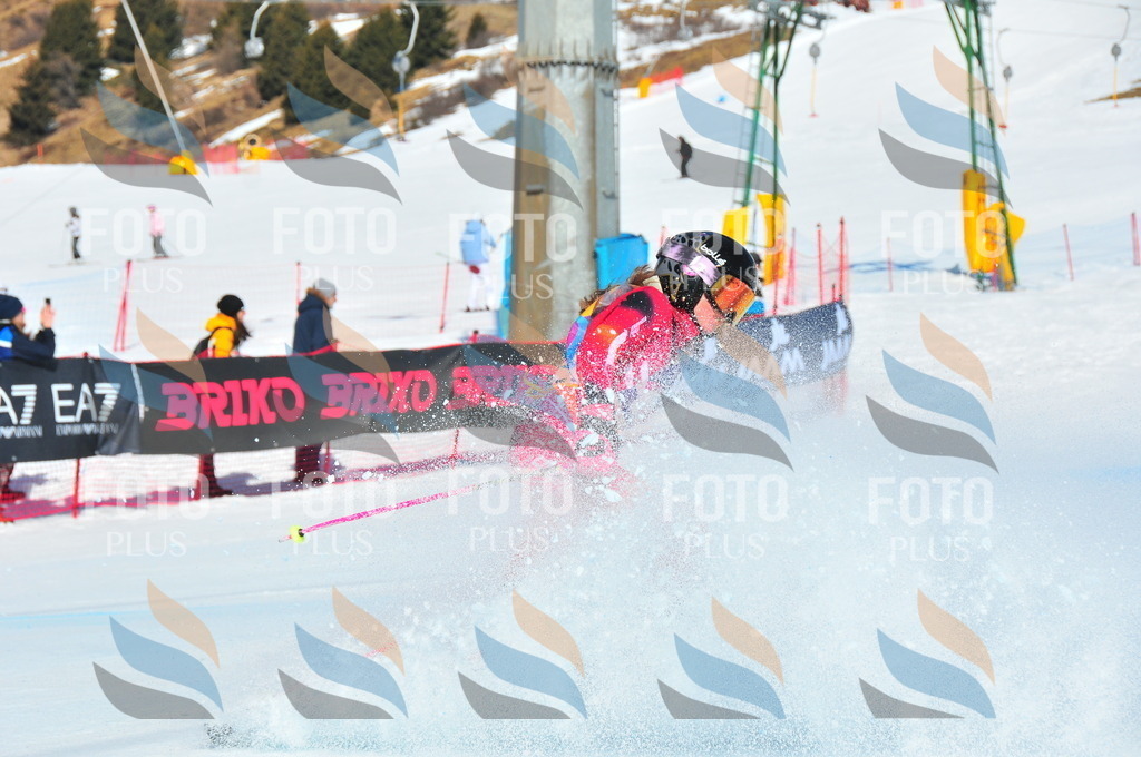 DSC_4049 | holidayphoto