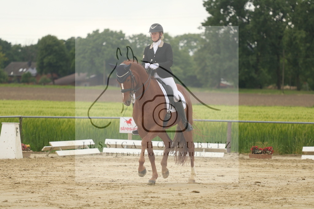 IMG_7546 | jessicahollubetz_pferdephotographie - Realisiert mit Pictrs.com