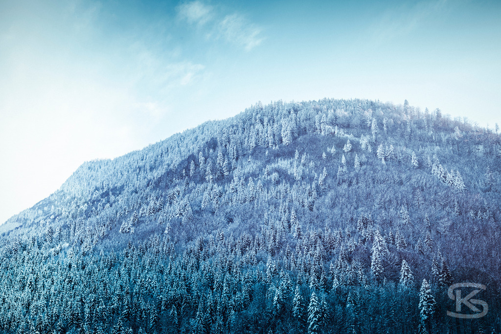Verschneiter Winterwald: Bewaldete Berghänge in Blau und Weiß | Eine verschneite Winterlandschaft, die sanft abfallende Berghänge zeigt, die vollständig von einem dichten Nadelwald bedeckt sind. Der untere Teil des Bildes ist in tiefes Blau und Türkis getaucht, während die oberen Bereiche in ein helles, dunstiges Pastellblau übergehen, was eine kühle und ätherische Atmosphäre schafft. - Realisiert mit Pictrs.com