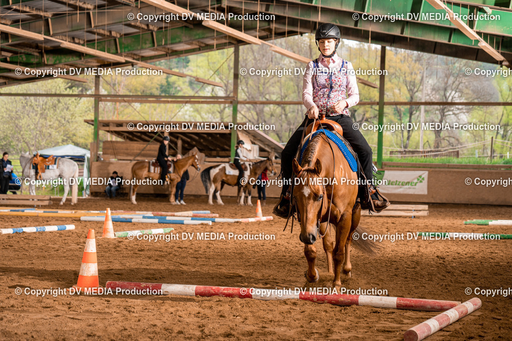 BA300316 | dv-media-shop - Realisiert mit Pictrs.com