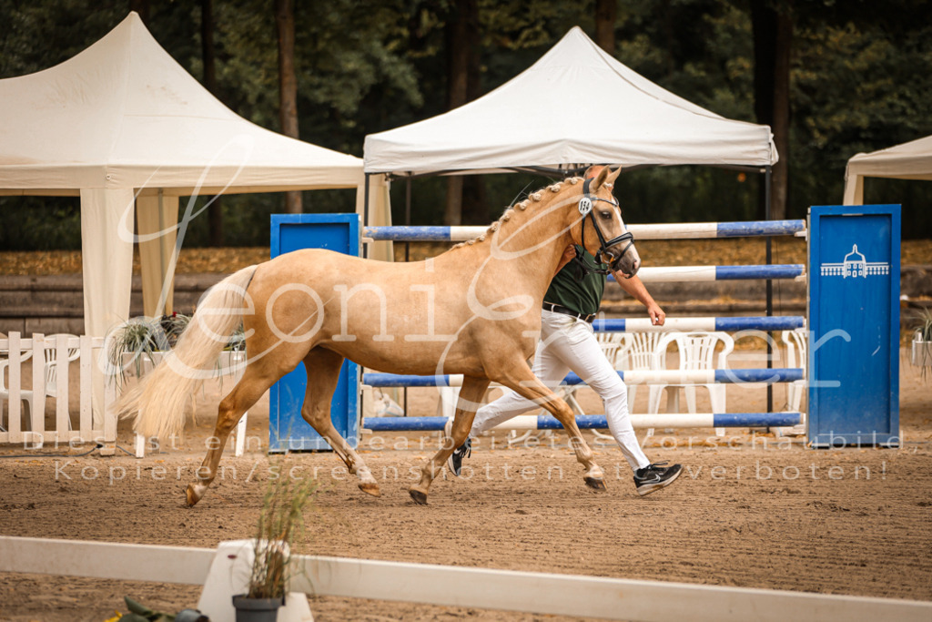 07.So00099 | Leoni Ertmer Photography - Realisiert mit Pictrs.com