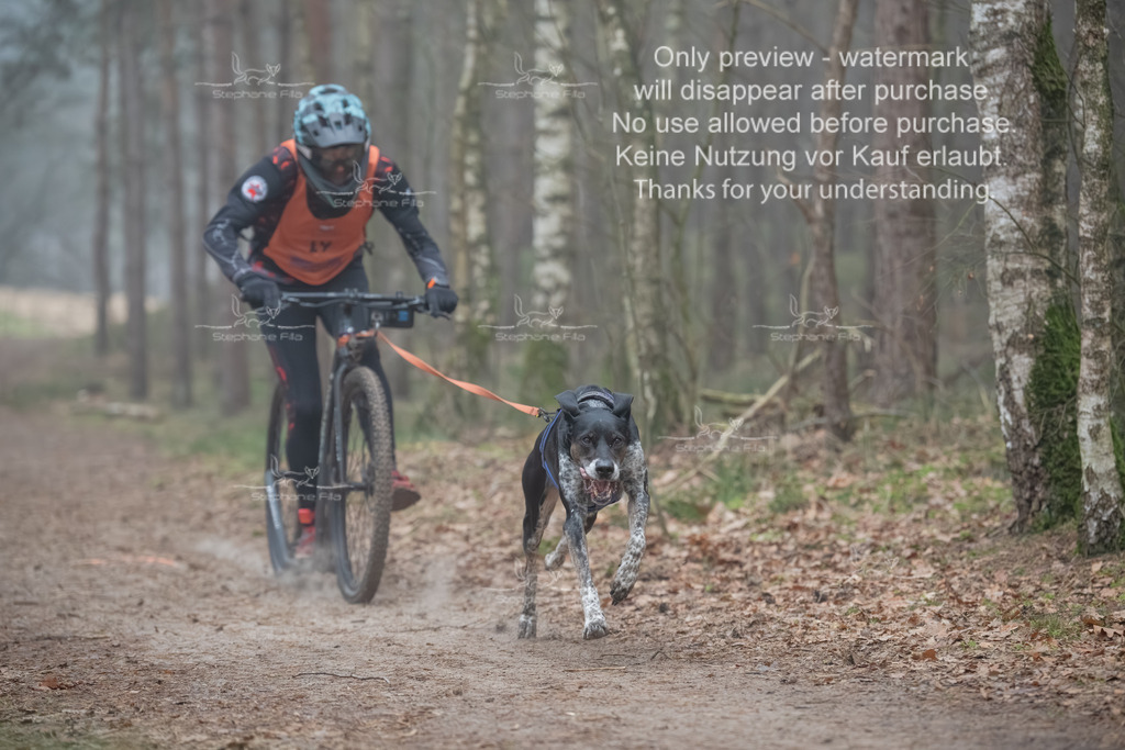 Scooter1-71 | stephaniefillaphotographie - Realisiert mit Pictrs.com