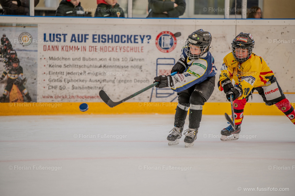 DSC_1065 | "Fussifoto.com – Ihr Ansprechpartner für hochwertige Fotografie! Entdecken Sie kreative Bilder und professionelle Dienstleistungen. Kontaktieren Sie uns für Ihre Projekte!"