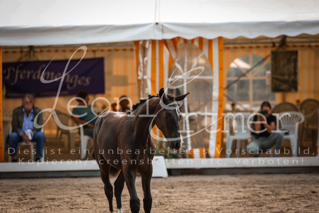 10.DoRP00084 | Leoni Ertmer Photography - Realisiert mit Pictrs.com