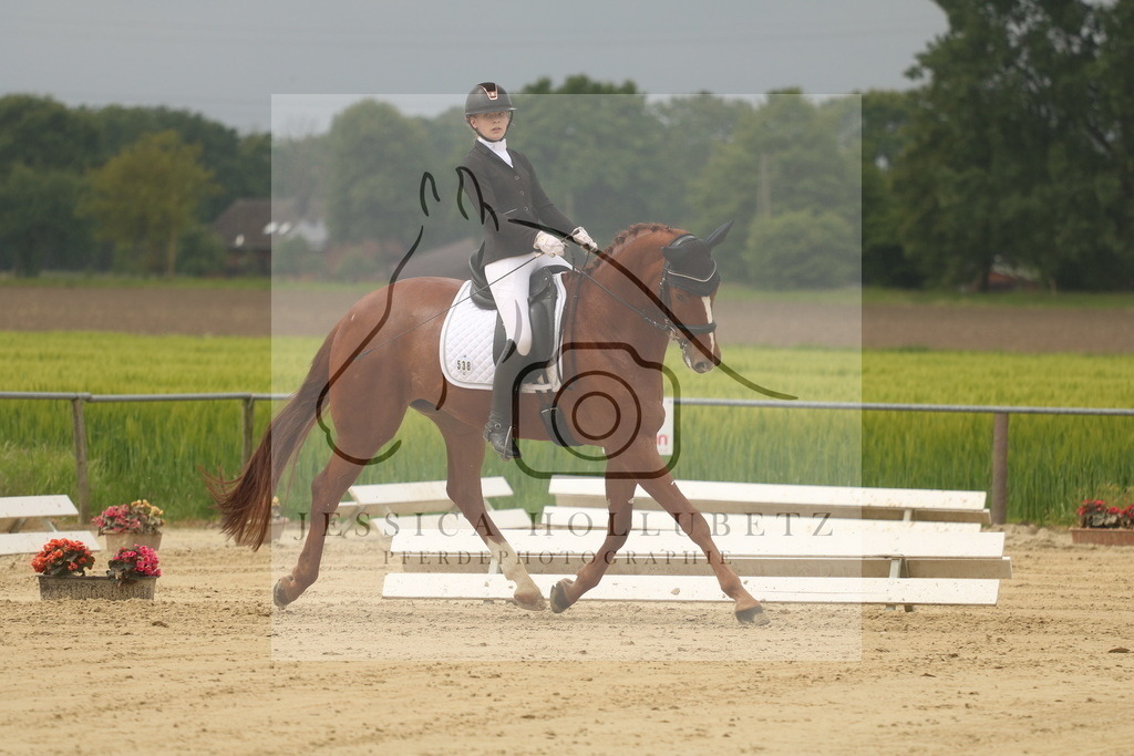 IMG_7067 | jessicahollubetz_pferdephotographie - Realisiert mit Pictrs.com