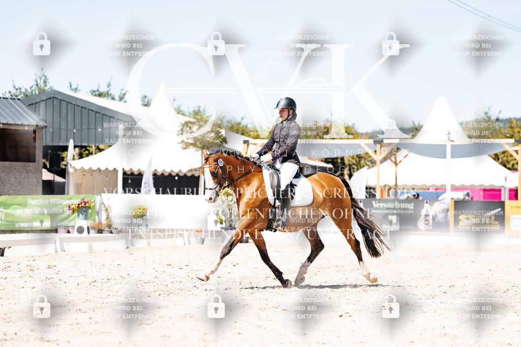 CK900249 | Turnierfotografie Pferdefotografie Trier Rheinland-Pfalz Pferdesport Reitsport Tierfotografie Sportfotografie Pferdevideo Pferdevideografie Equestrianvideography equestrianphotography  - Realisiert mit Pictrs.com