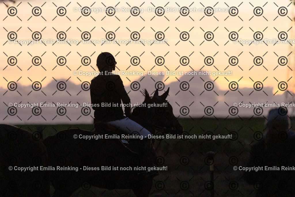 CL5A0724 | Emilia Reinking Fotografie - Realisiert mit Pictrs.com