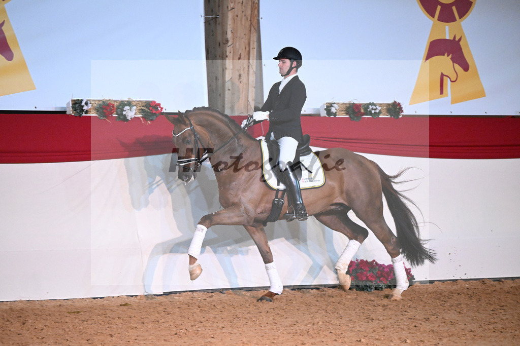 Feliciano_Wadenspanner_1234842 | hf-fotografie - Realisiert mit Pictrs.com