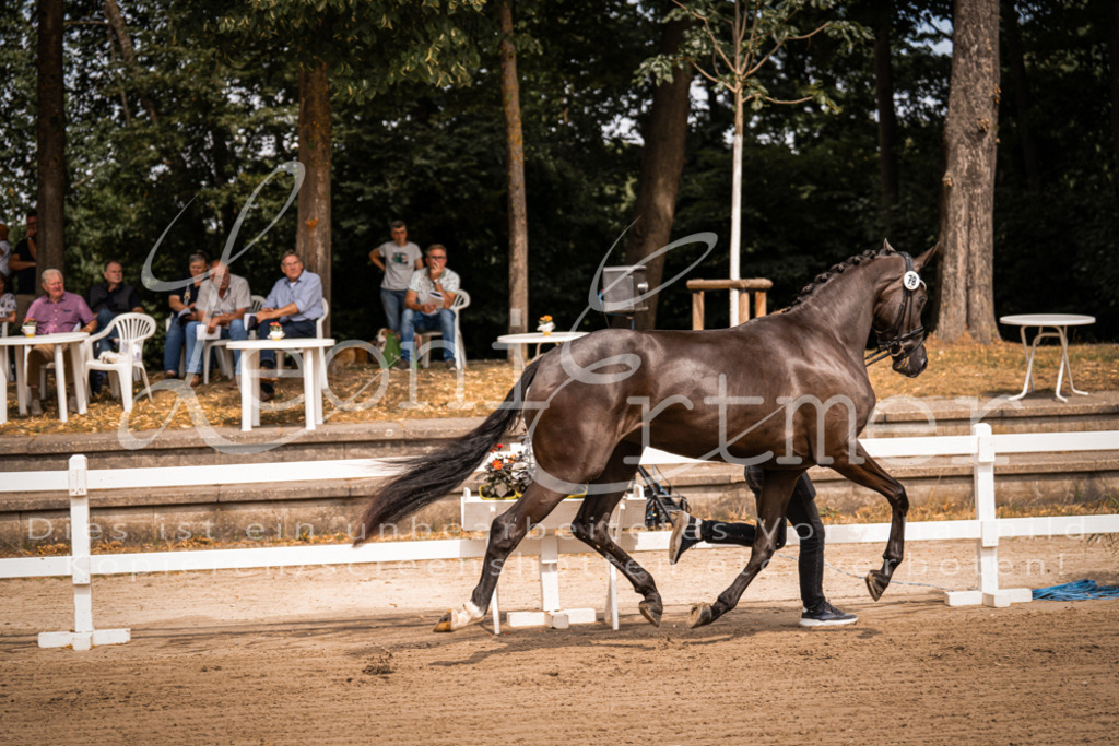 4.Fr00082 | Leoni Ertmer Photography - Realisiert mit Pictrs.com