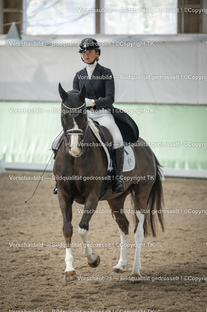 _D5A4996 | Emotionale Pferde- & People-Fotografie rund um Heidelberg, Leimen & Umgebung. Natürliche Fotos von Pferd, Mensch & Familie. Jetzt Termin sichern!