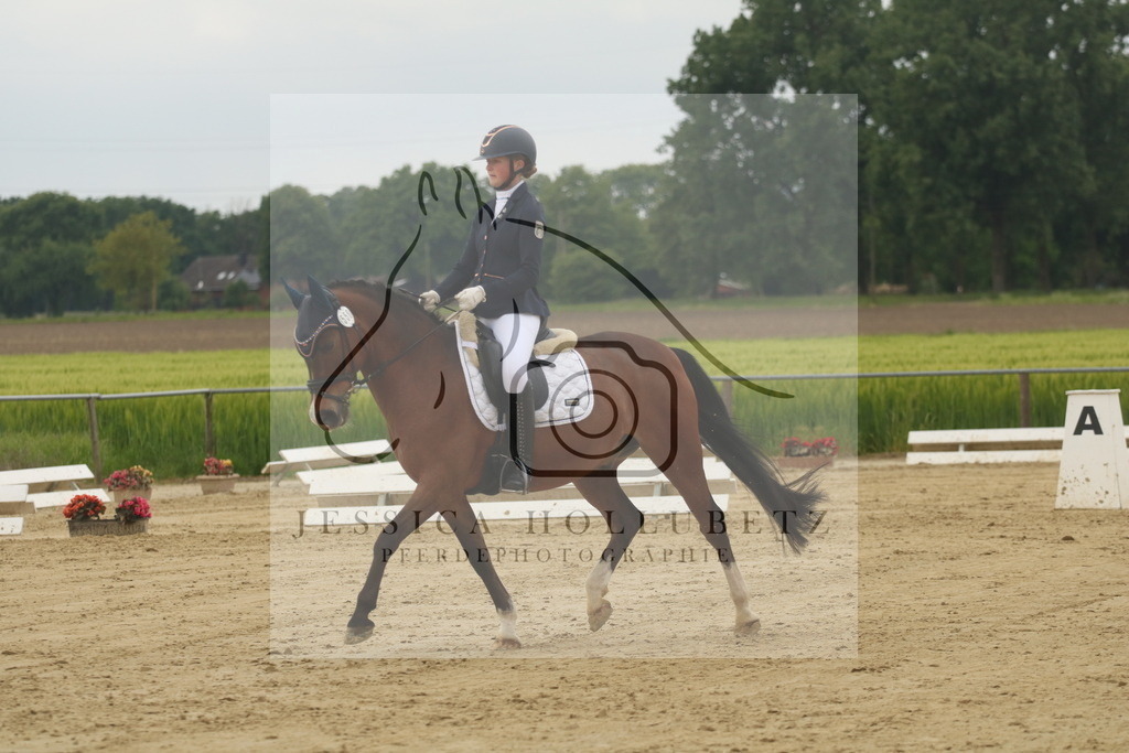 IMG_7144 | jessicahollubetz_pferdephotographie - Realisiert mit Pictrs.com