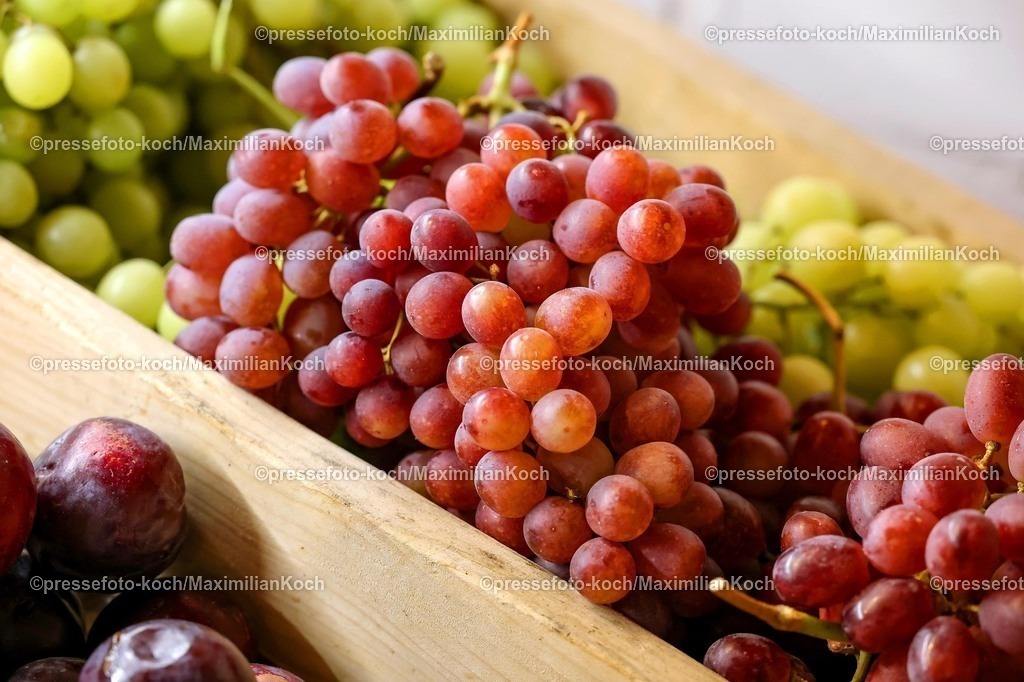 CR29112501066 | 29.11.2025, Castrop-Rauxel, Hofladen Auslage regional Trauben Traube Lokal grün rot rote grüne 