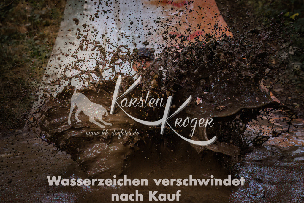 1035_ZZ93852 | kk-dogfotos