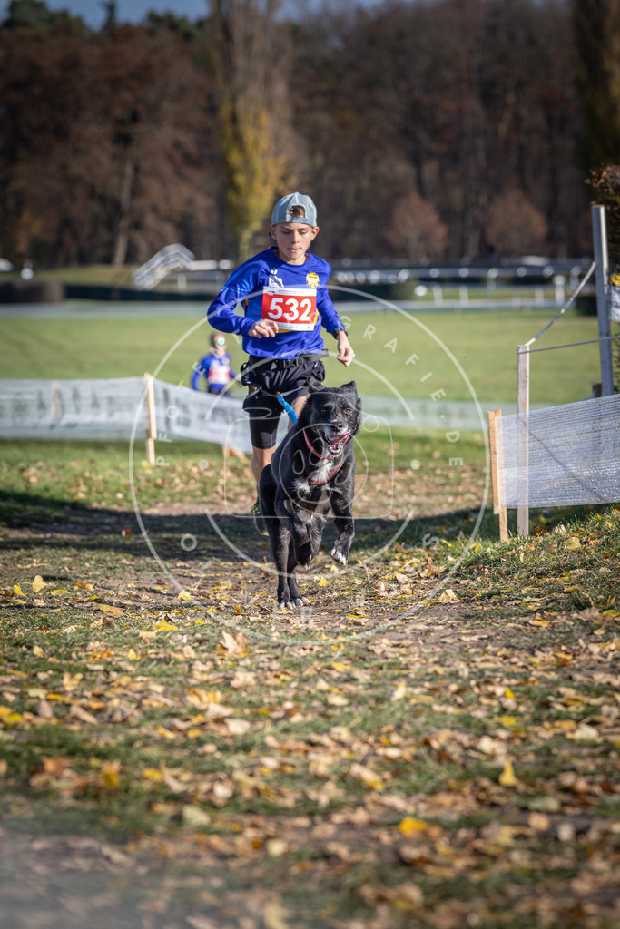 CaniXpix_DV3A8245 | Hundefotografie, Tierfotograf, Pfotenfotografie, Fotoshooting Hund, Hunde Portrait, Hundesport, Hundeportraits, Heideshooting, Hunde, Sportfotograf, Hundefotograf, Turnierhundsport, THS,  - Realisiert mit Pictrs.com