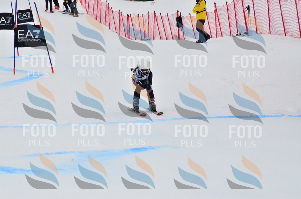 _ELE3767 | holidayphoto