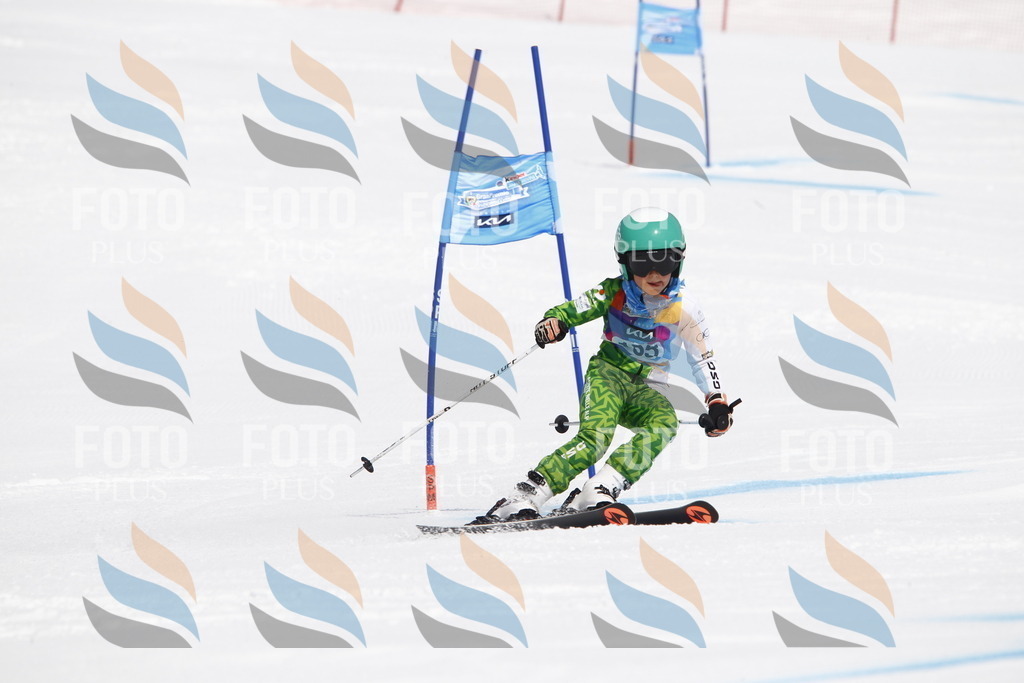 _U3G4191 | holidayphoto