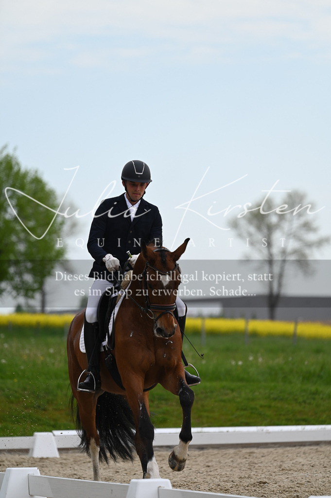 20230512_JK-Röhrsdorf-02-252 | Pferde- und Turnierfotografie in Westsachsen. Pferdeportraits, Auftragszeichnungen und intuitive Kunst.