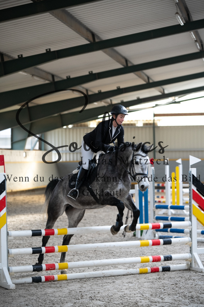 A7V03483 | Pferdefotograf