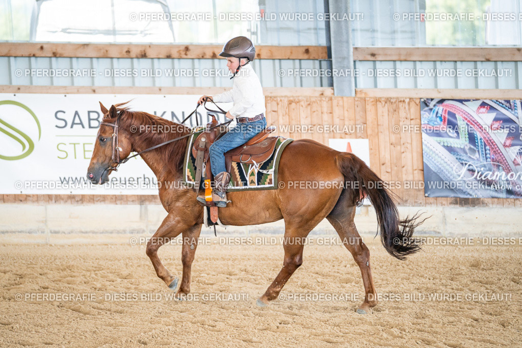 DSC03160 | Pferdegrafie