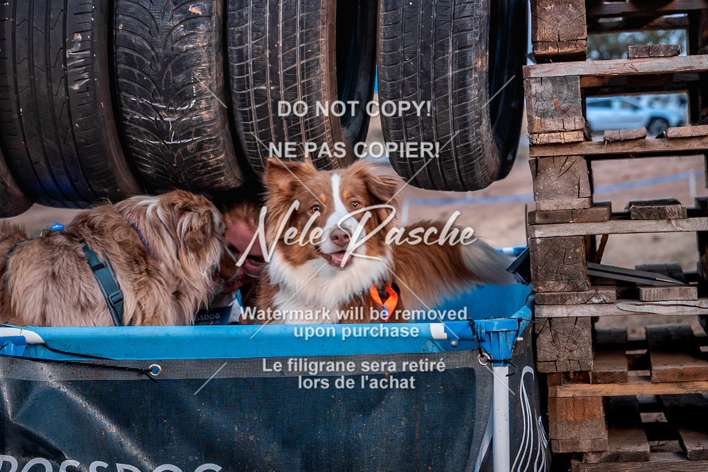 nelerasche_SummerNights26-Sa2000-2100_216 | nelerasche