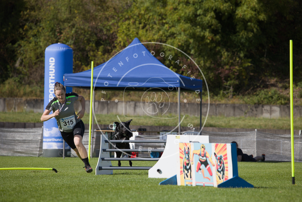 0L8A8131 | Hundefotografie, Tierfotograf, Pfotenfotografie, Fotoshooting Hund, Hunde Portrait, Hundesport, Hundeportraits, Heideshooting, Hunde, Sportfotograf, Hundefotograf, Turnierhundsport, THS,  - Realisiert mit Pictrs.com