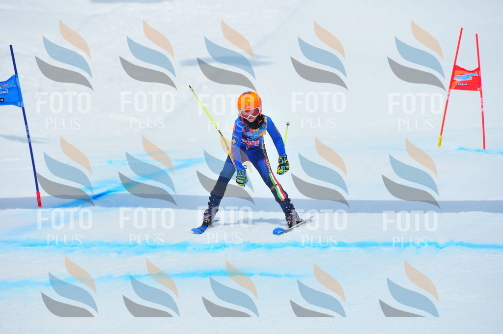 DSC_6450 | holidayphoto