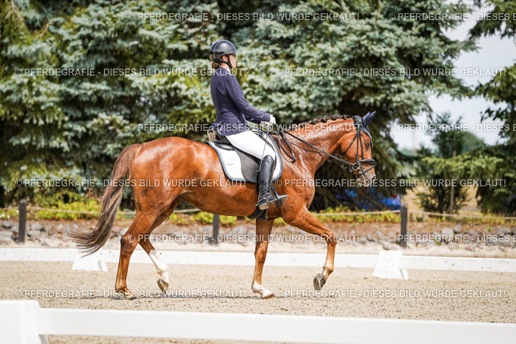 DSC02104 | Pferdegrafie