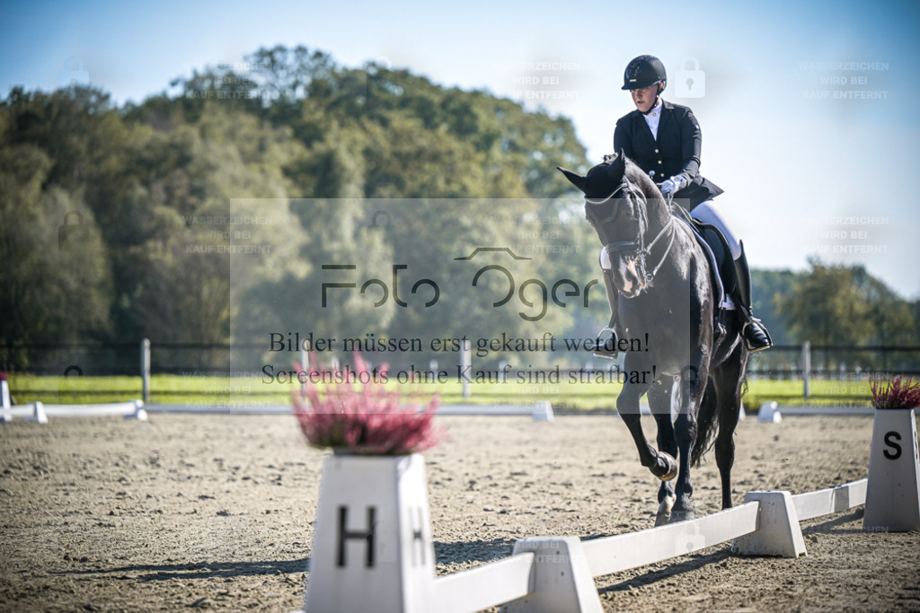 DOS_2213 | Entdecke hochwertige Reitturnierfotos von Foto Oger. Professionell, emotional und authentisch – jetzt Lieblingsmomente im Shop bestellen. - Realisiert mit Pictrs.com