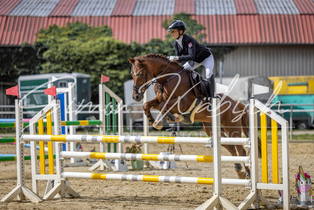 20260905-_3LI7640 | Tierfotografie Pferde, Hunde, Katzen, Haustiere.
Turnierfotografie Reitturniere, Reiten, Springreiten, Dressur in Hanau, dem Main-Kinzig-Kreis und dem Rhein-Main- Gebiet um Frankfurt