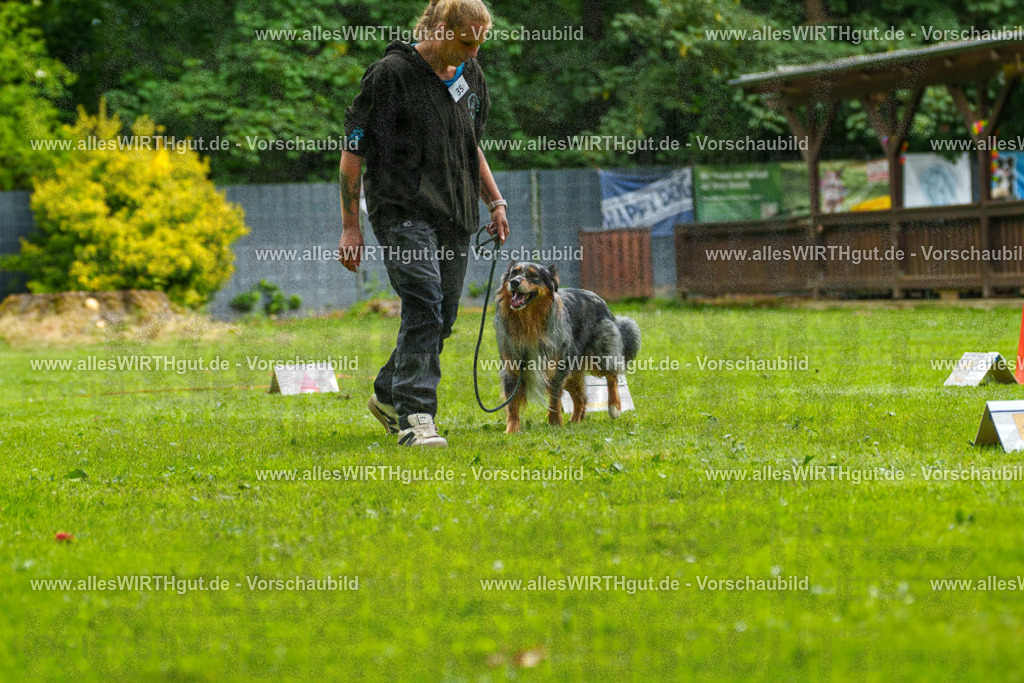 @allesWIRTHgut_Tierfotografie - www.allesWIRTHgut.de - 123553-7R509178 | Professionelle Tierfotografie in Mönchengladbach von Daniel Wirth (allesWIRTHgut). Liebevolle & natürliche Bilder von Hunden & Katzen für unvergessliche Erinnerungen.