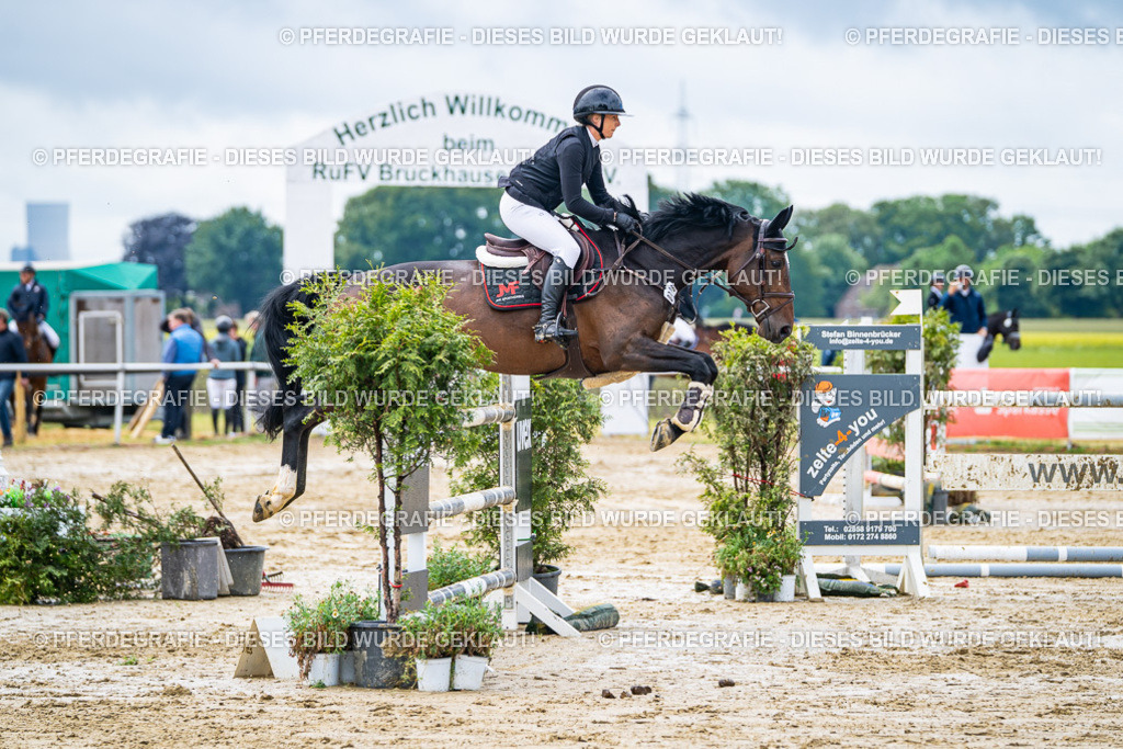 DSC03910 | Pferdegrafie