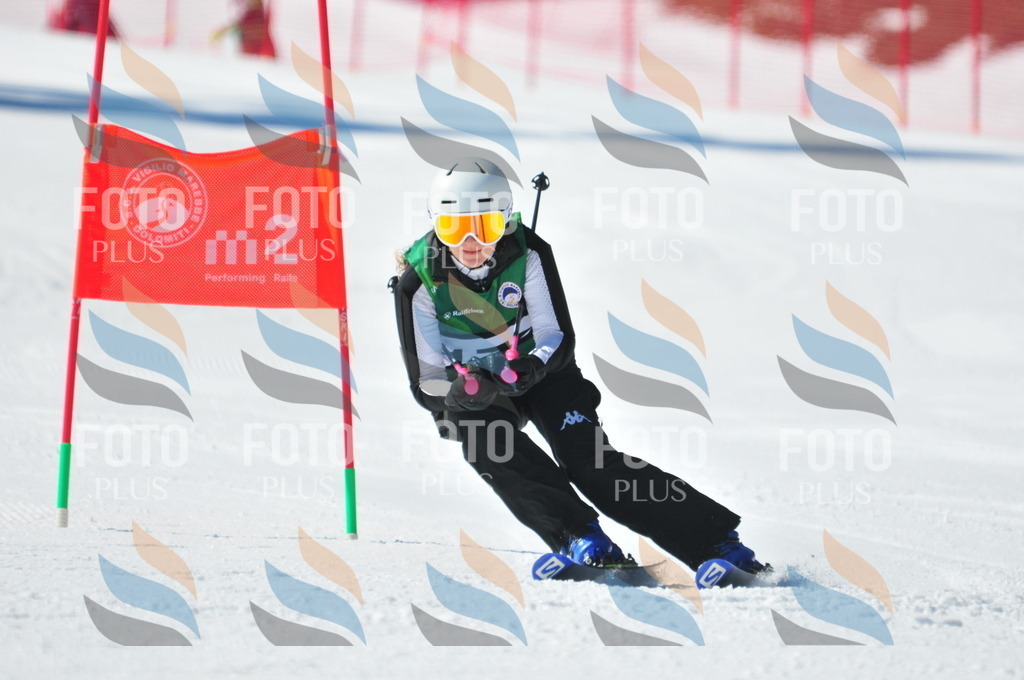 C4262 | holidayphoto