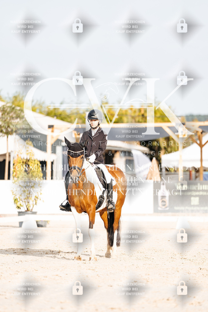 CK903883 | Turnierfotografie Pferdefotografie Trier Rheinland-Pfalz Pferdesport Reitsport Tierfotografie Sportfotografie Pferdevideo Pferdevideografie Equestrianvideography equestrianphotography  - Realisiert mit Pictrs.com