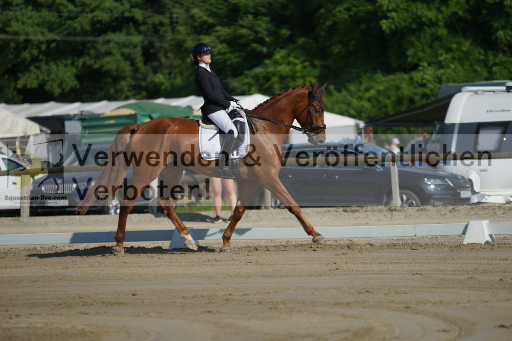 DSC03990 | equestrian-live-com