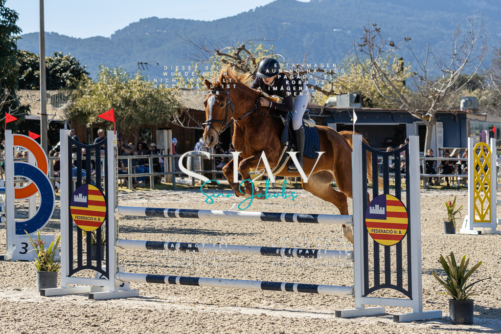 IMG_1329 | s-jay-photography - Realisiert mit Pictrs.com