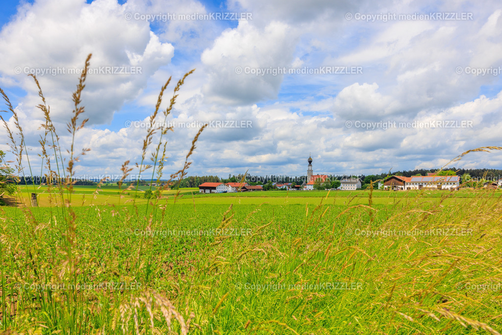 Oberfeldkirchen | medienkrizzler - Realisiert mit Pictrs.com