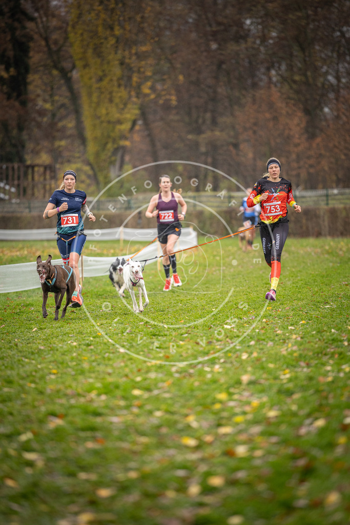 CaniXpix_DV3A9390 | Hundefotografie, Tierfotograf, Pfotenfotografie, Fotoshooting Hund, Hunde Portrait, Hundesport, Hundeportraits, Heideshooting, Hunde, Sportfotograf, Hundefotograf, Turnierhundsport, THS,  - Realisiert mit Pictrs.com