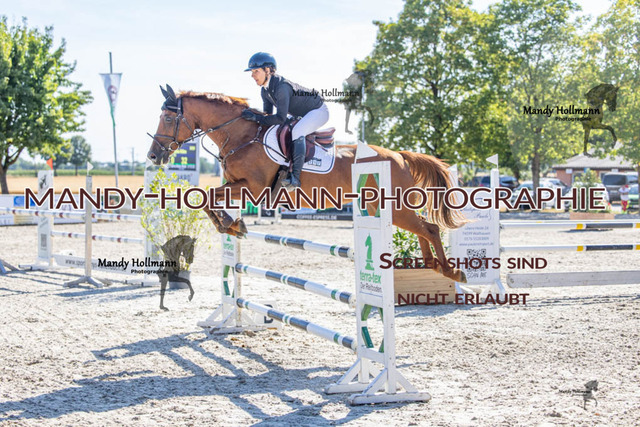 26-7-24 Amateur L-371 | mandyhollmannphotographie