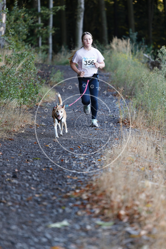 0L8A2197 | Hundefotografie, Tierfotograf, Pfotenfotografie, Fotoshooting Hund, Hunde Portrait, Hundesport, Hundeportraits, Heideshooting, Hunde, Sportfotograf, Hundefotograf, Turnierhundsport, THS,  - Realisiert mit Pictrs.com