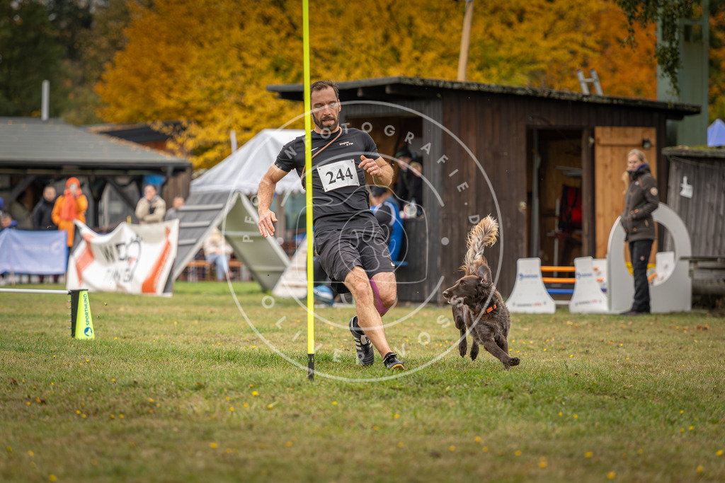 Pfotenfotografie_DV3A5092 | Hundefotografie, Tierfotograf, Pfotenfotografie, Fotoshooting Hund, Hunde Portrait, Hundesport, Hundeportraits, Heideshooting, Hunde, Sportfotograf, Hundefotograf, Turnierhundsport, THS,  - Realisiert mit Pictrs.com