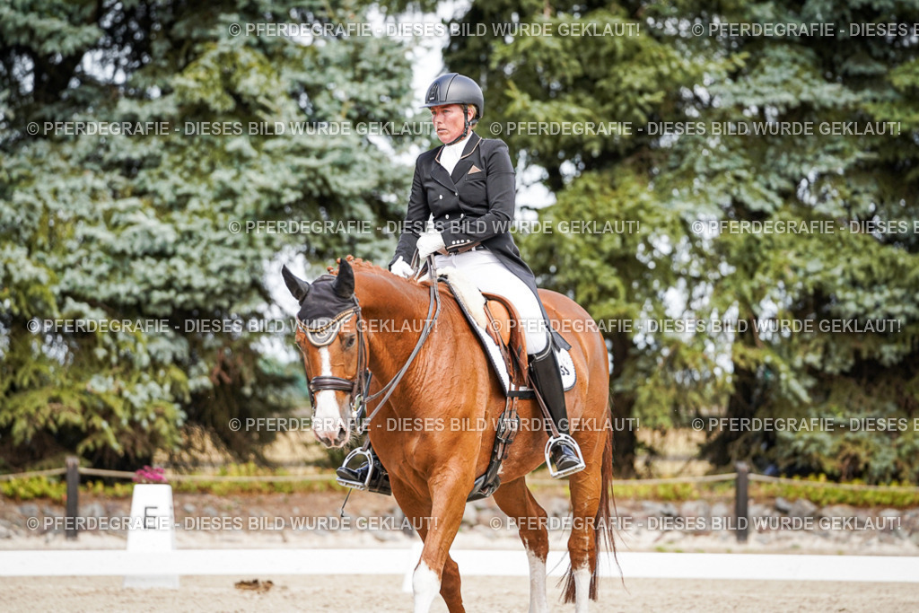 DSC06542 | Pferdegrafie