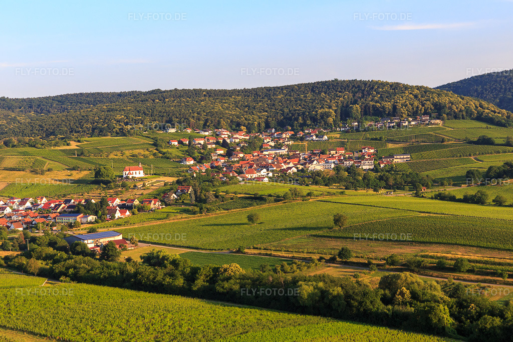 Luftbild: Weinort von Osten im Ortsteil Gleiszellen in Gleiszellen-Gleishorbach im Bundesland Rheinland-Pfalz in Deutschland. Foto: IMG_148550.jpg vom 18.06.2025 durch Werner Riehm/FLY-FOTO.de
