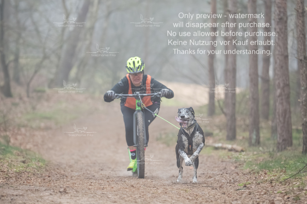 Scooter1-142 | stephaniefillaphotographie - Realisiert mit Pictrs.com