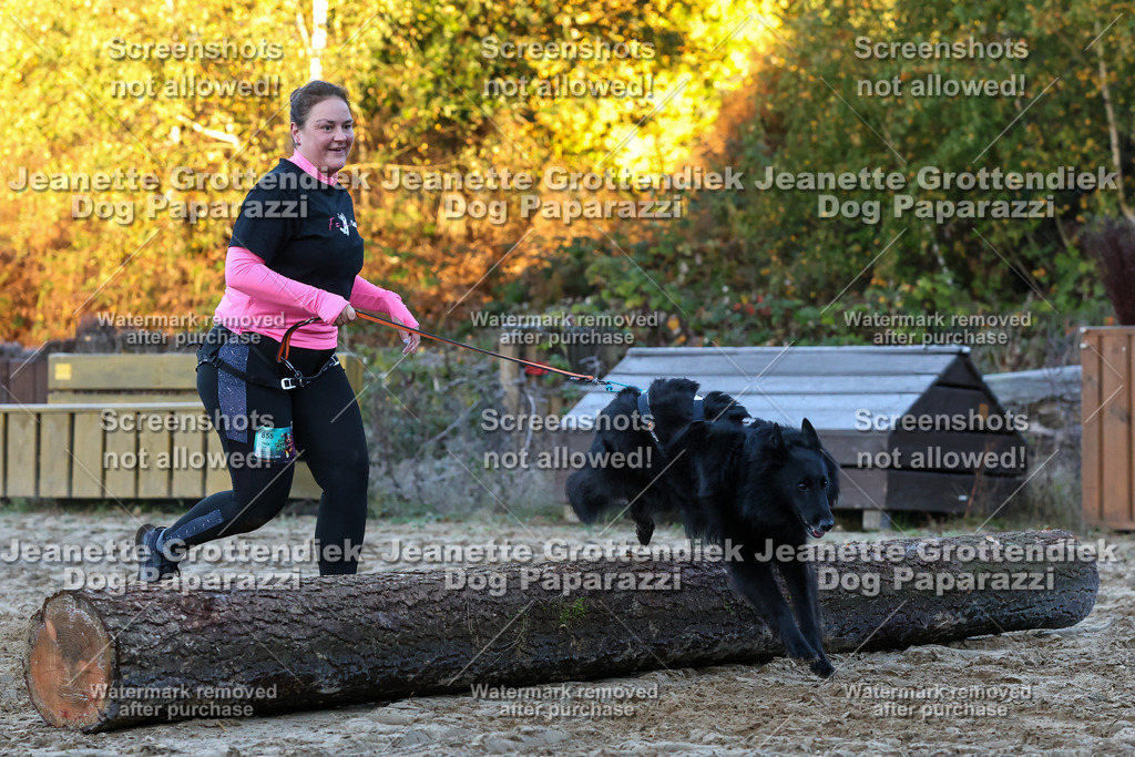 Dog Paparazzi - Strongdog 10-25-408 | Dog Paparazzi Jeanette Grottendiek Fotografie & Videografie - Realisiert mit Pictrs.com