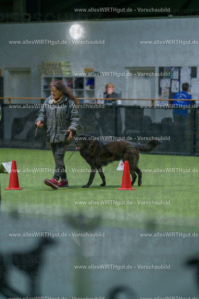 7R500055 | Professionelle Tierfotografie in Mönchengladbach von Daniel Wirth (allesWIRTHgut). Liebevolle & natürliche Bilder von Hunden & Katzen für unvergessliche Erinnerungen.